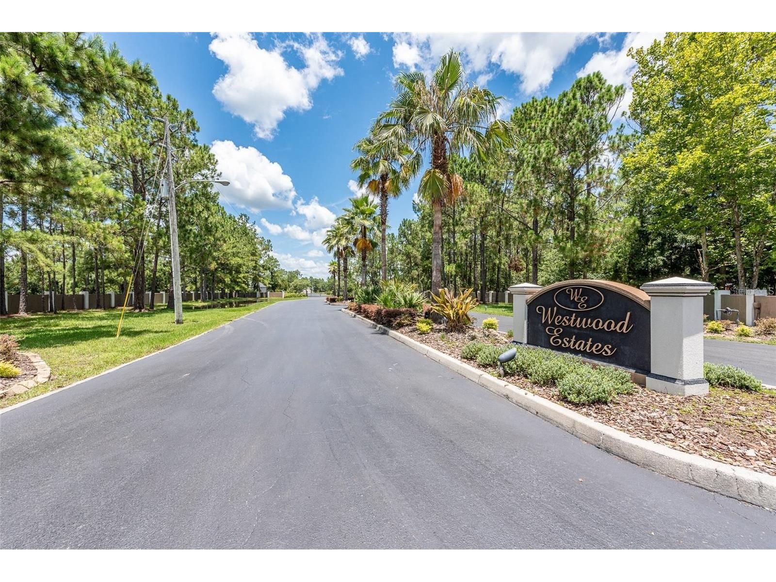 8616 Spring Forest Lane Wesley Chapel FL 33544 TB8529475 image2