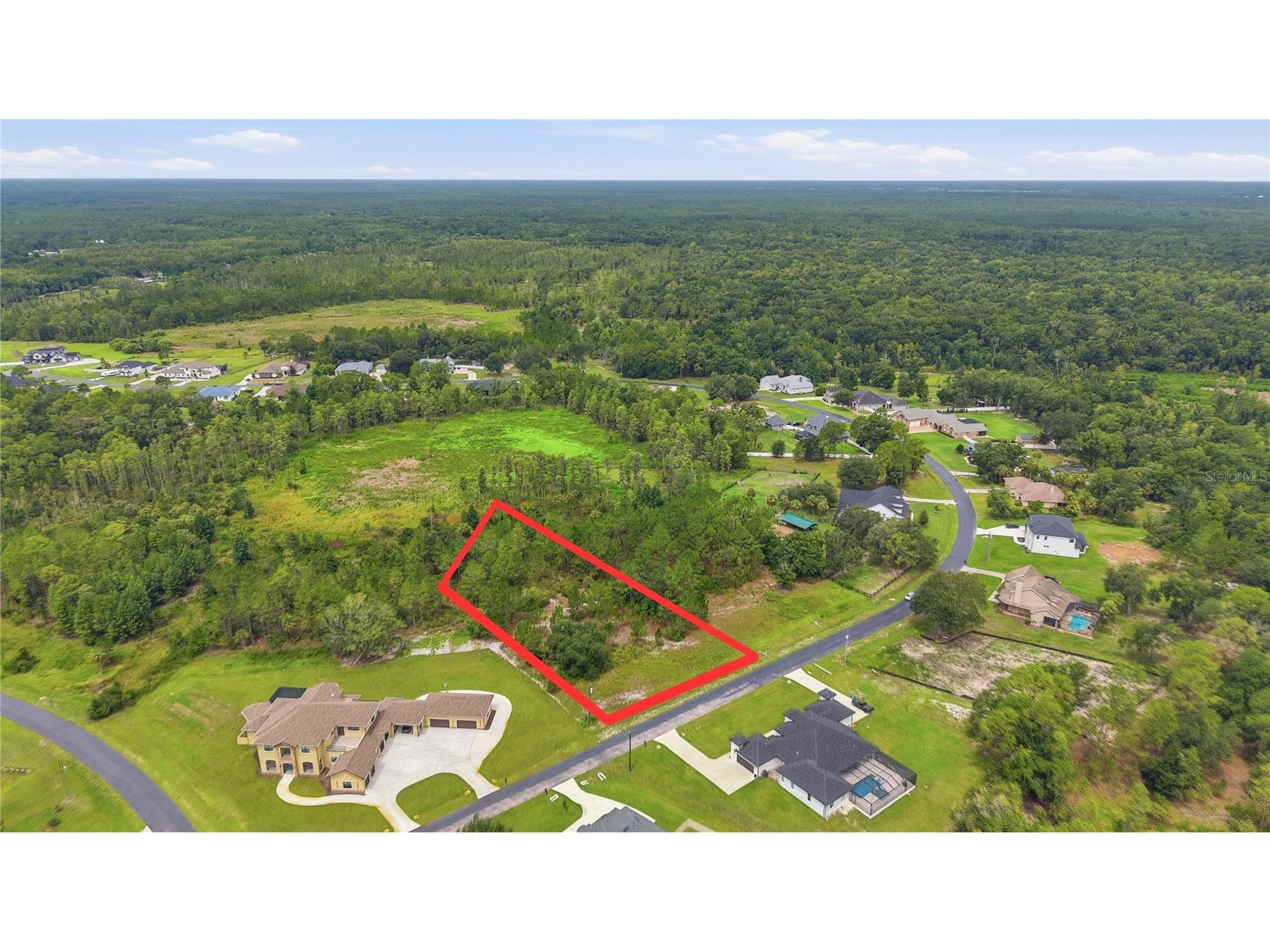 8616 Spring Forest Lane Wesley Chapel FL 33544 TB8529475 image3