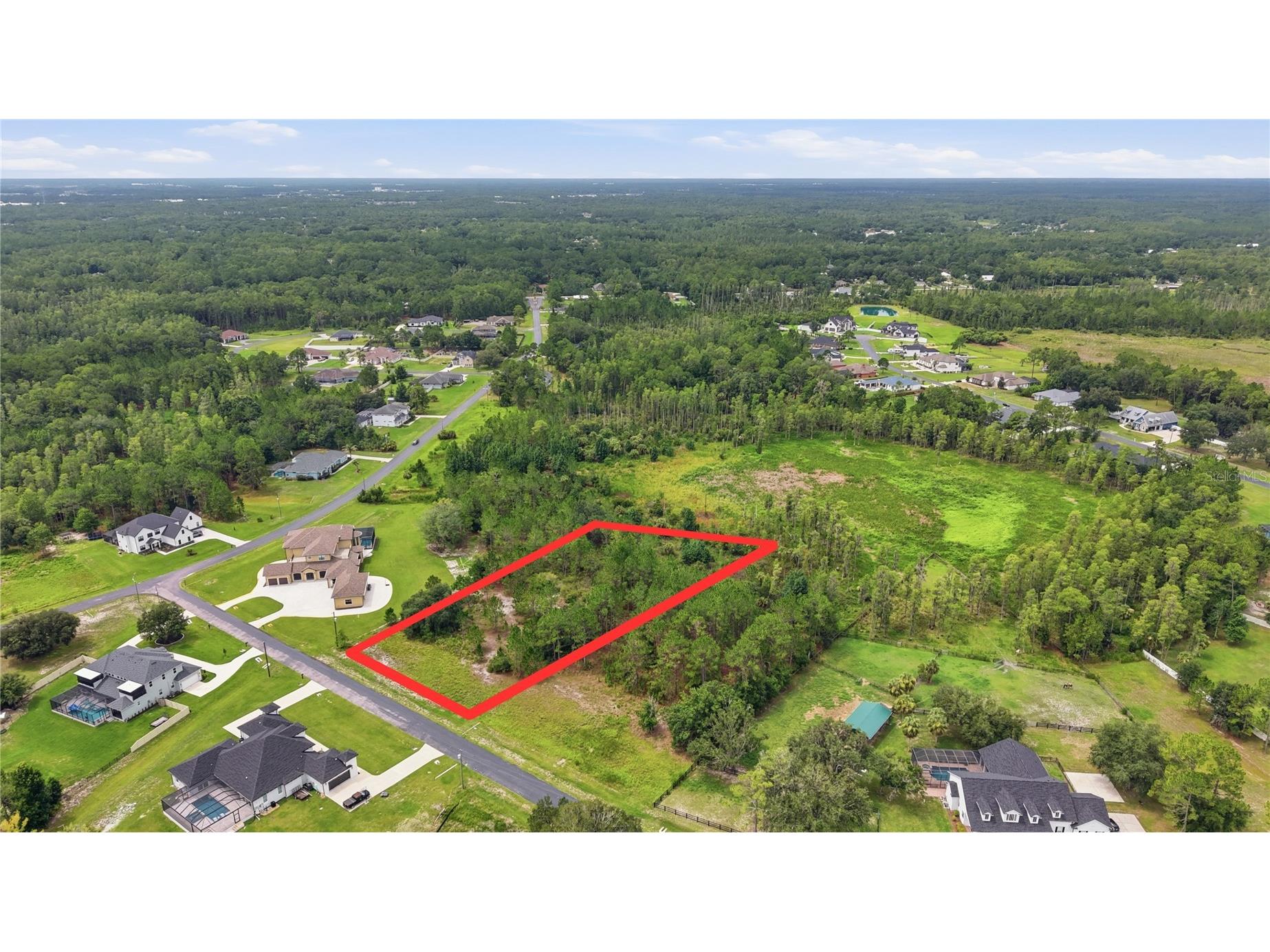 8616 Spring Forest Lane Wesley Chapel FL 33544 TB8529475 image4