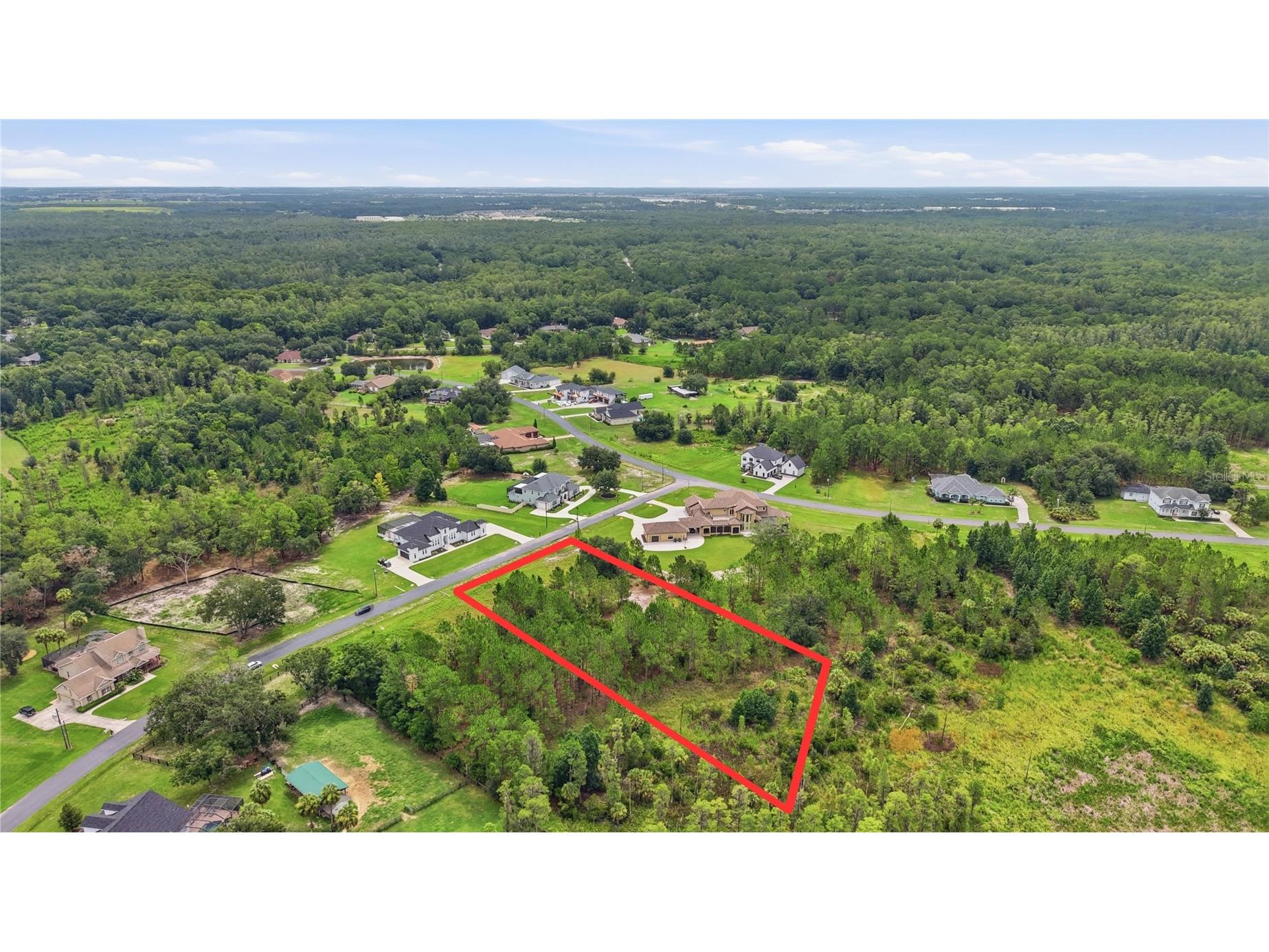 8616 Spring Forest Lane Wesley Chapel FL 33544 TB8529475 image5