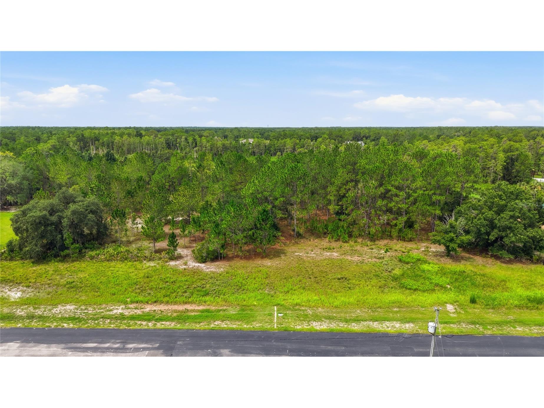 8616 Spring Forest Lane Wesley Chapel FL 33544 TB8529475 image6