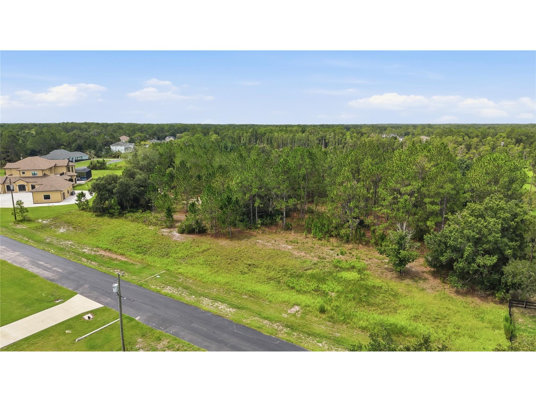 8616 Spring Forest Lane Wesley Chapel FL 33544 TB8529475 image7