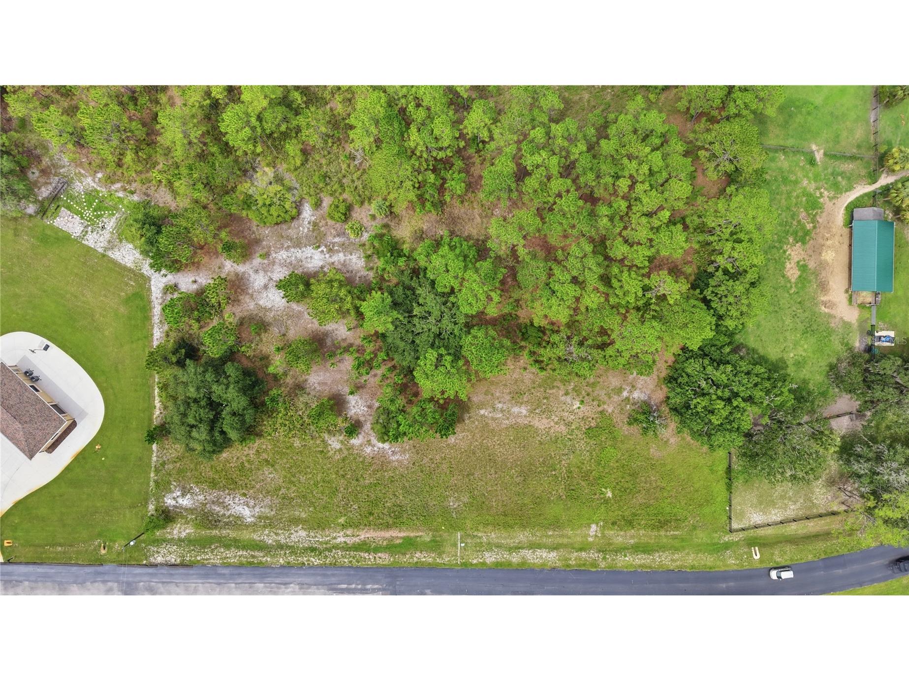 8616 Spring Forest Lane Wesley Chapel FL 33544 TB8529475 image8
