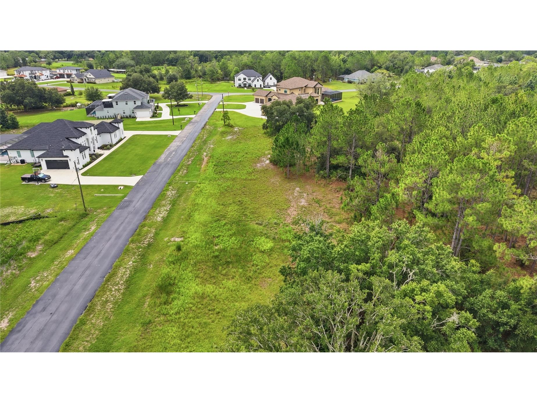 8616 Spring Forest Lane Wesley Chapel FL 33544 TB8529475 image9