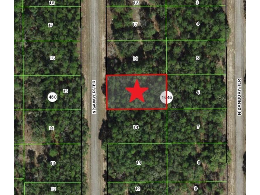 8617 N Sawyer Terrace Dunnellon FL 34434 C7491956 image1