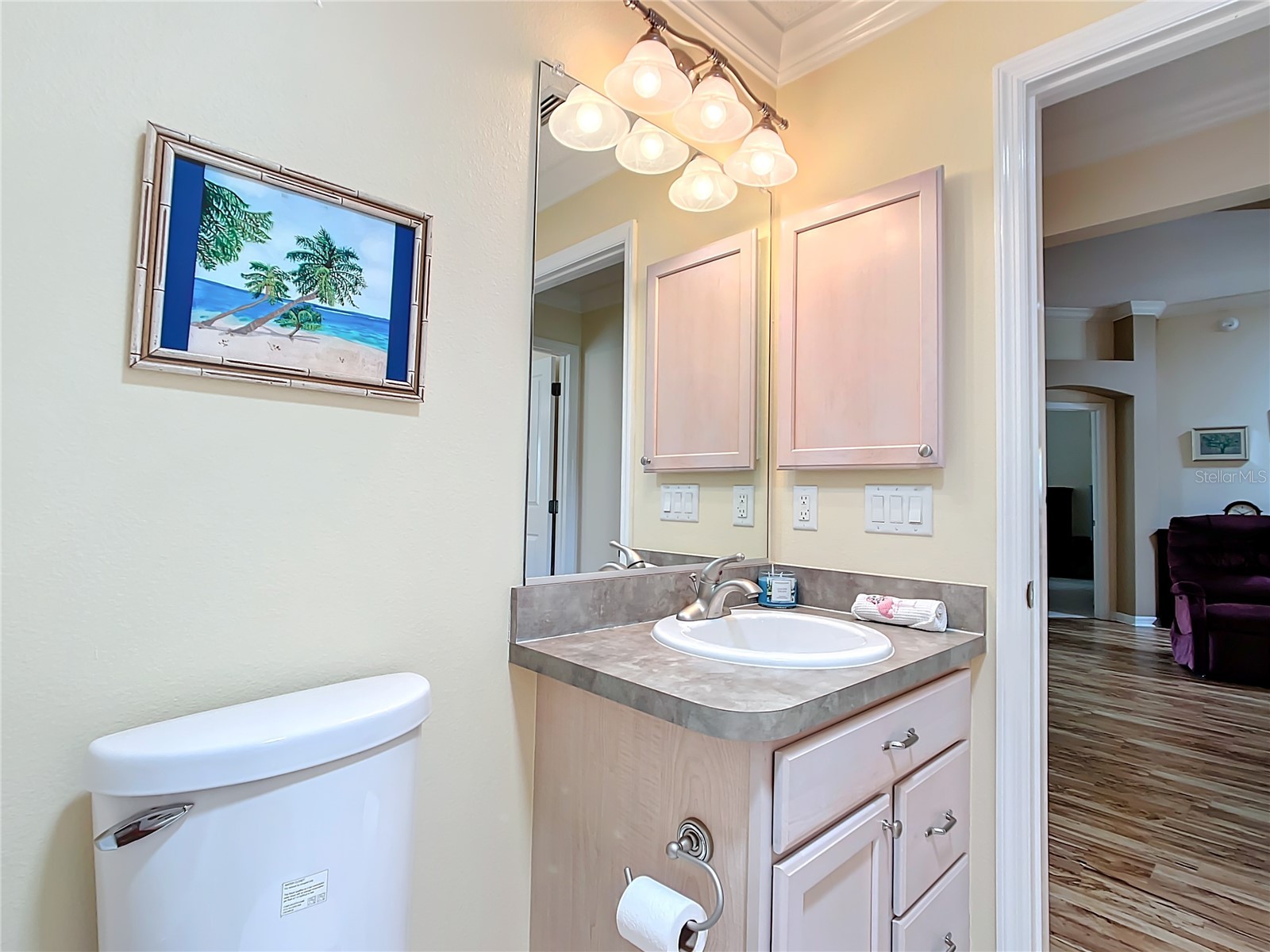 8617 SE 168th Kittredge Loop The Villages FL 32162 G5101406 image33