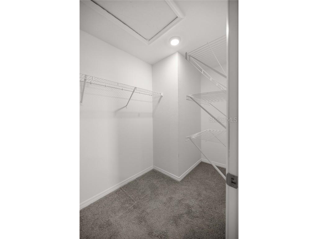 8617 Triumph Circle Wildwood FL 34785 OM700653 image18