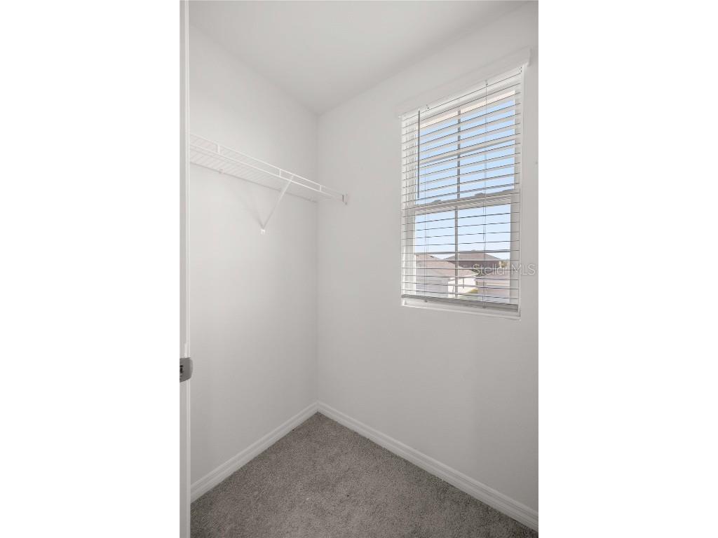 8617 Triumph Circle Wildwood FL 34785 OM700653 image19