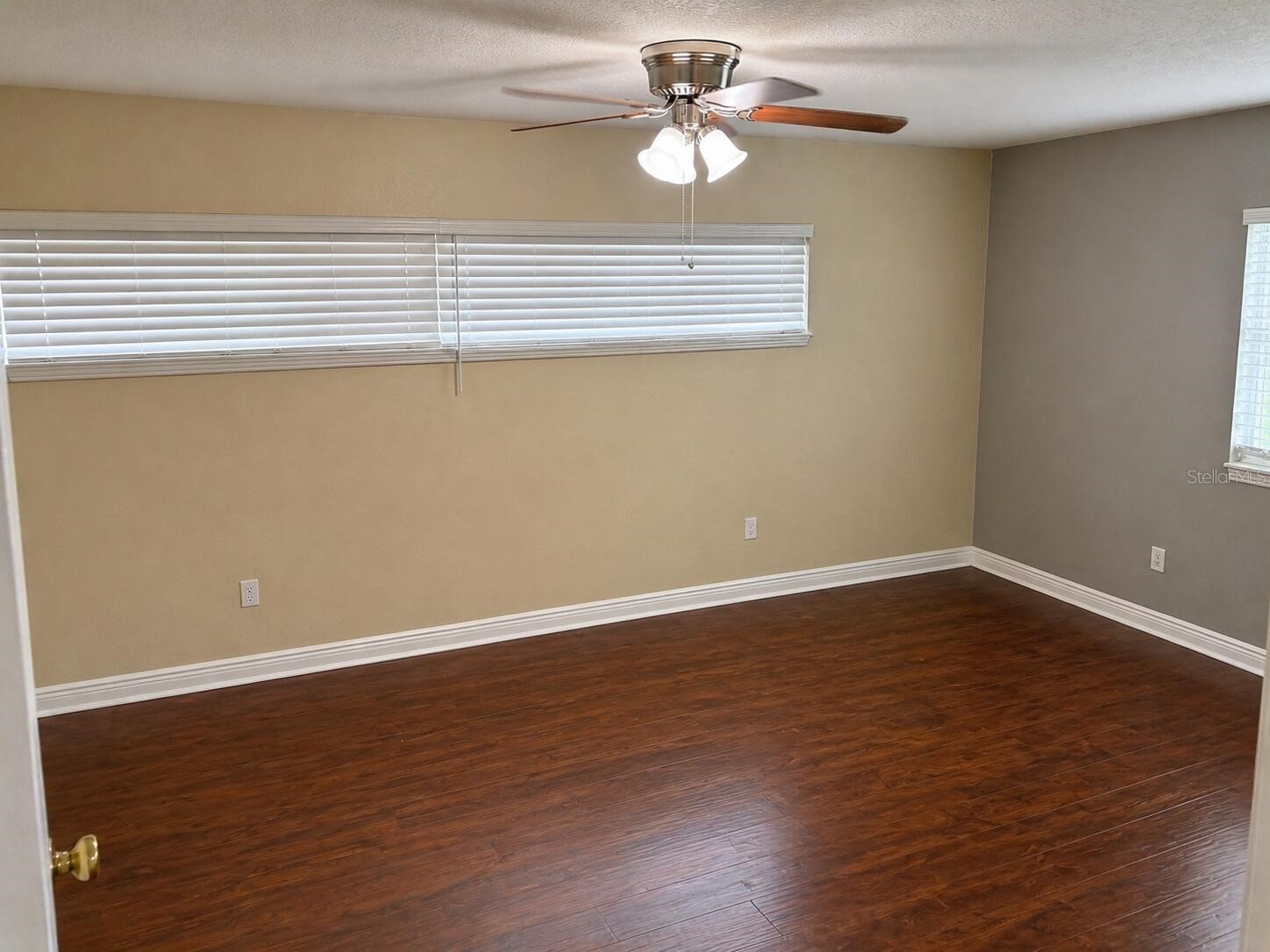 8618 Grandview Drive Tampa FL 33617 O6407119 image11