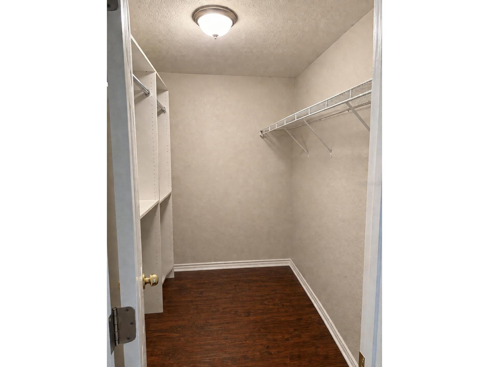 8618 Grandview Drive Tampa FL 33617 O6407119 image12