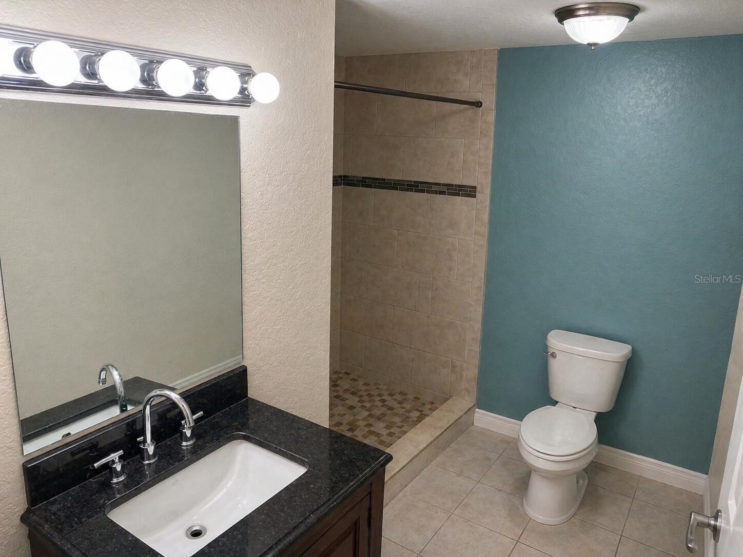 8618 Grandview Drive Tampa FL 33617 O6407119 image14