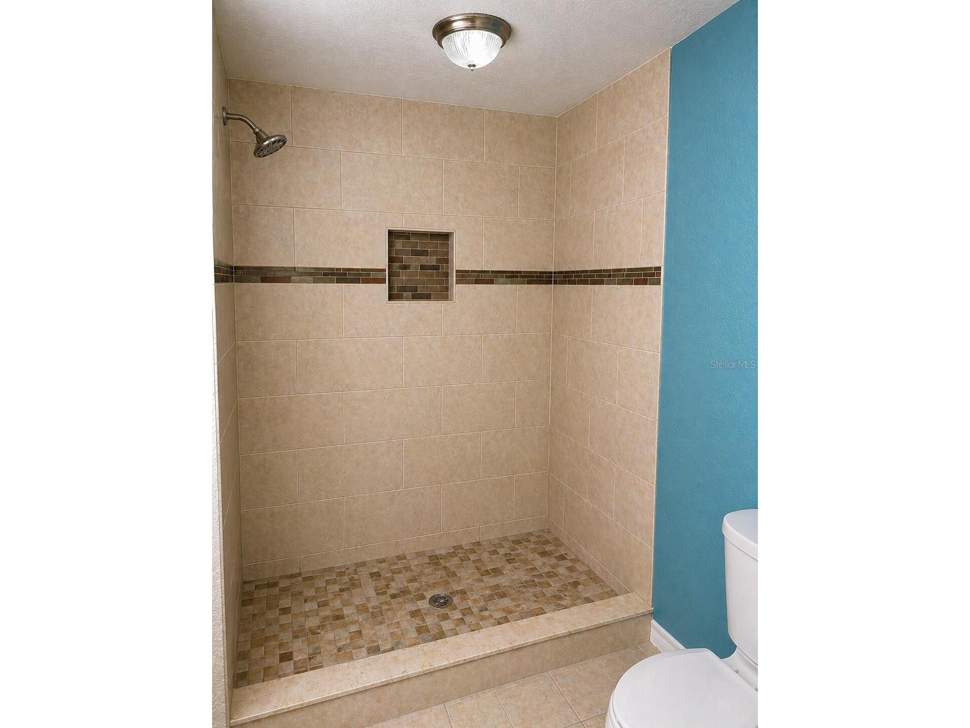 8618 Grandview Drive Tampa FL 33617 O6407119 image16