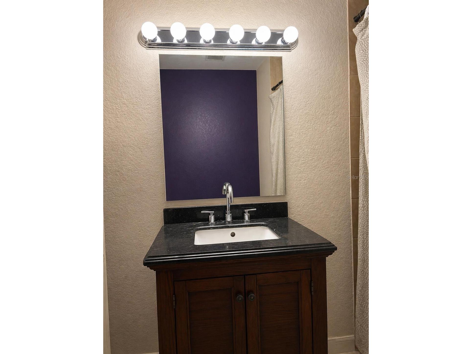 8618 Grandview Drive Tampa FL 33617 O6407119 image22