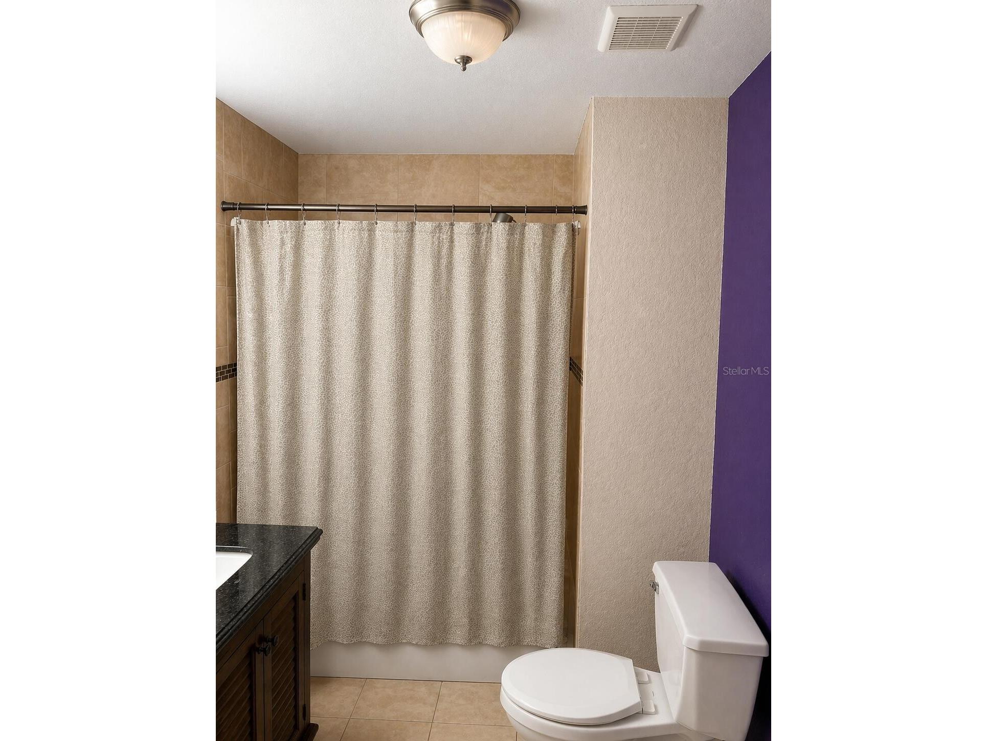 8618 Grandview Drive Tampa FL 33617 O6407119 image23