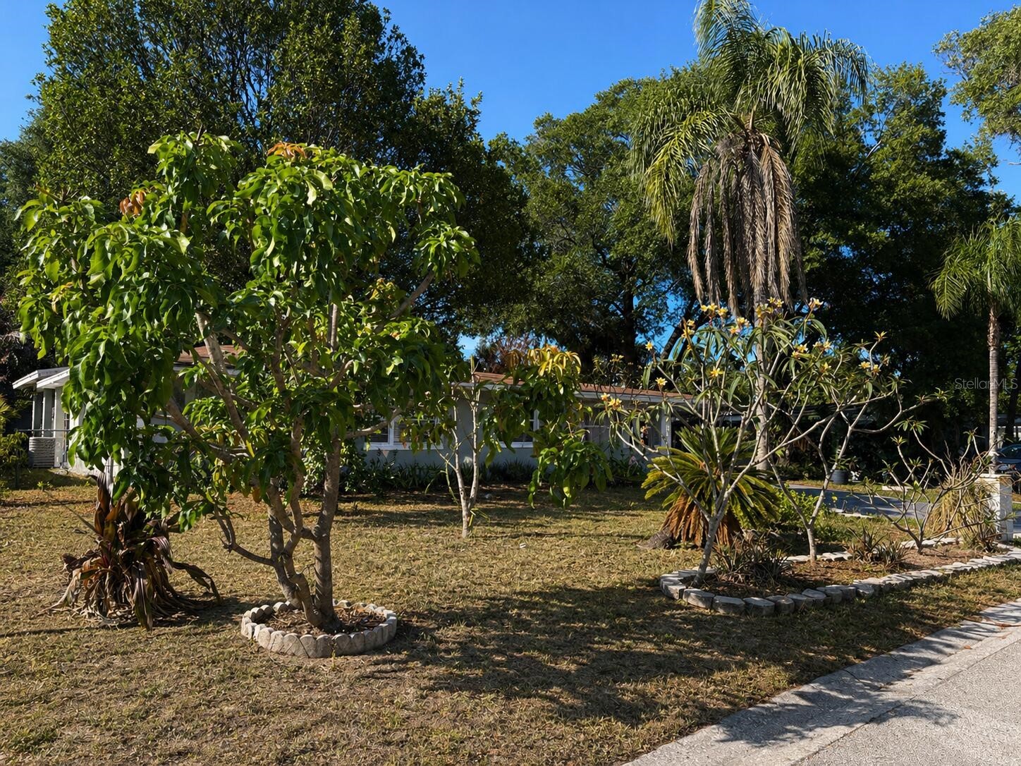 8618 Grandview Drive Tampa FL 33617 O6407119 image27