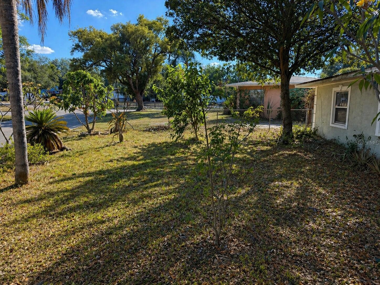8618 Grandview Drive Tampa FL 33617 O6407119 image28