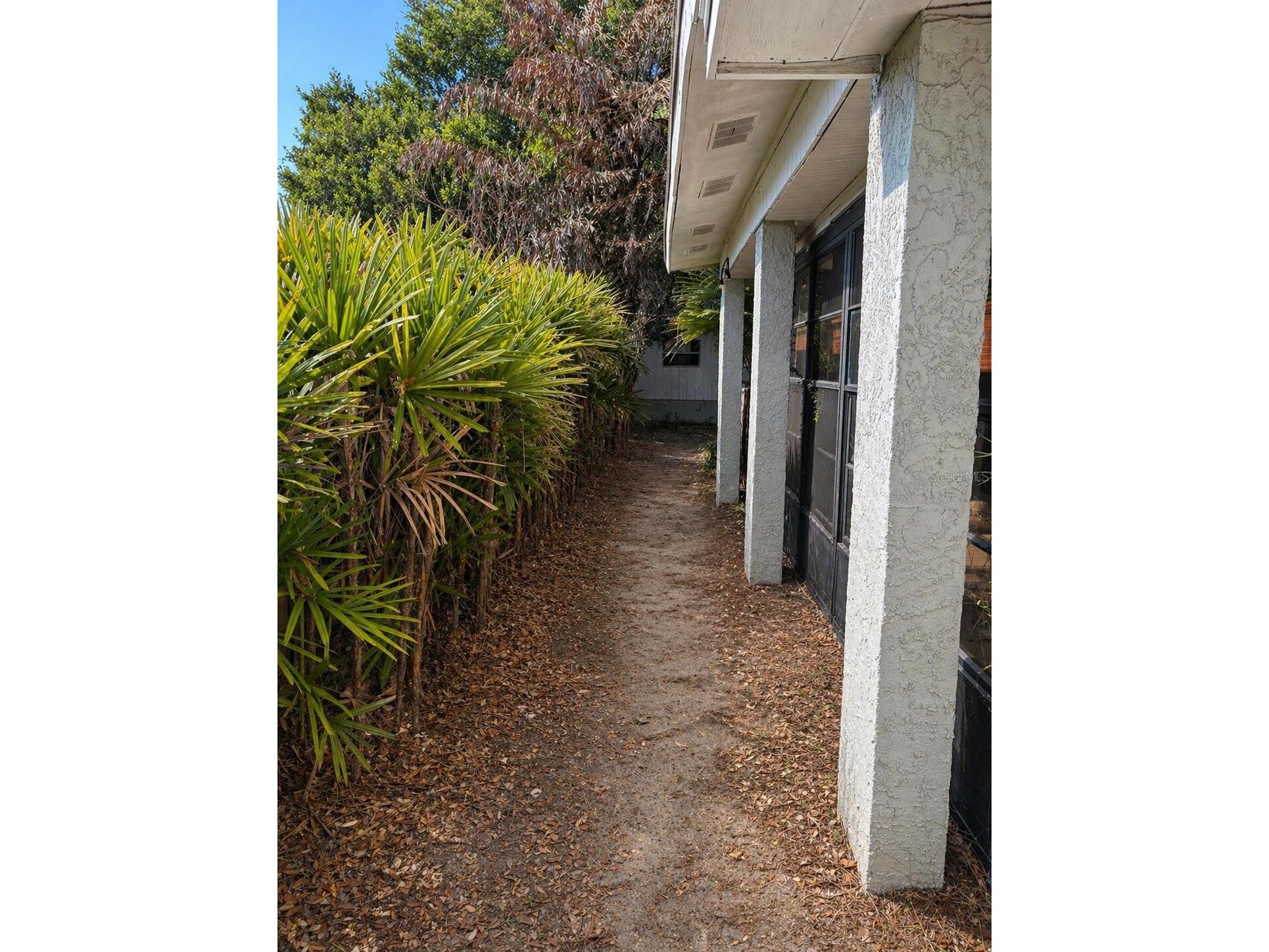 8618 Grandview Drive Tampa FL 33617 O6407119 image33