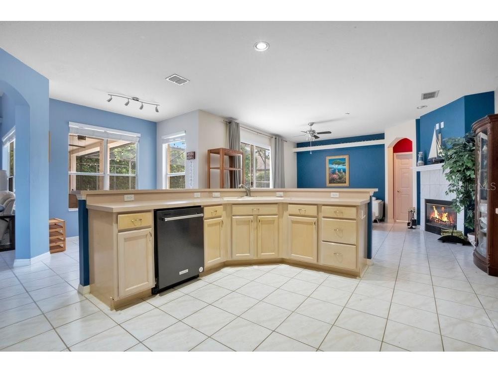 8618 Terrace Pines Court Orlando FL 32836 O6405423 image10