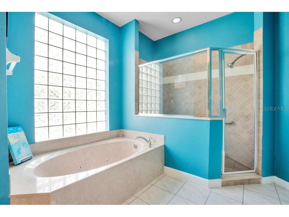 8618 Terrace Pines Court Orlando FL 32836 O6405423 image19