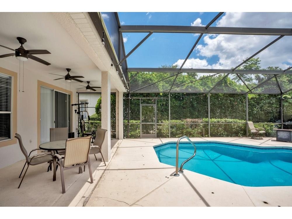 8618 Terrace Pines Court Orlando FL 32836 O6405423 image29