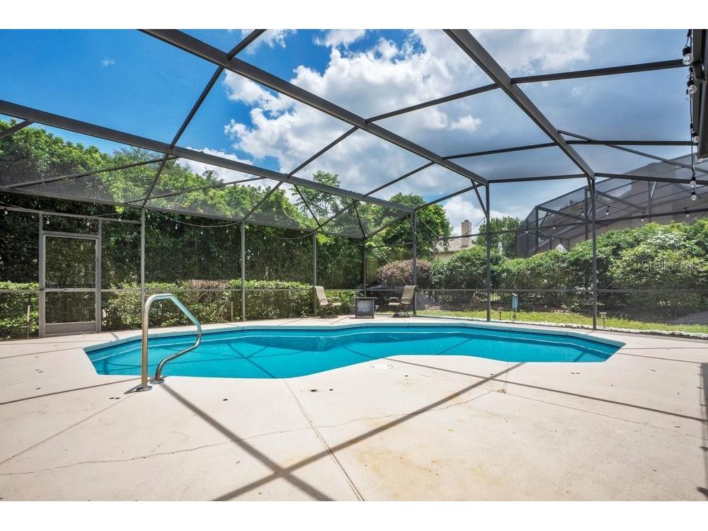 8618 Terrace Pines Court Orlando FL 32836 O6405423 image30