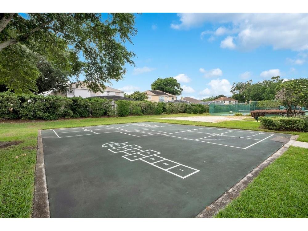 8618 Terrace Pines Court Orlando FL 32836 O6405423 image41