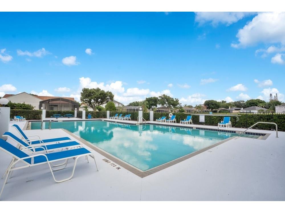 8618 Terrace Pines Court Orlando FL 32836 O6405423 image43