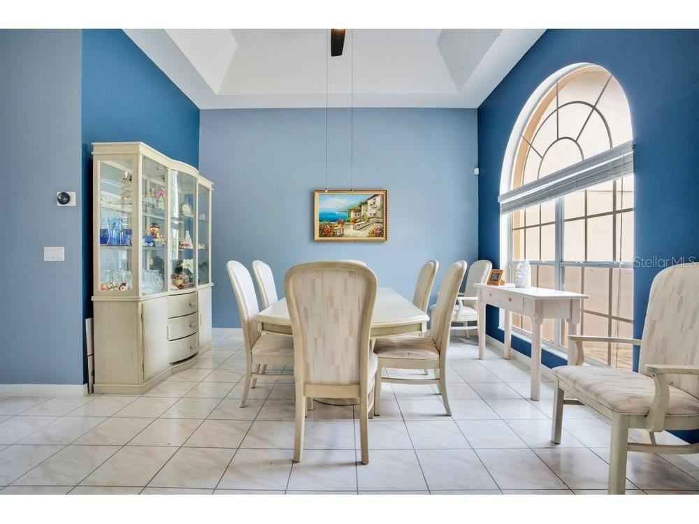 8618 Terrace Pines Court Orlando FL 32836 O6405423 image7