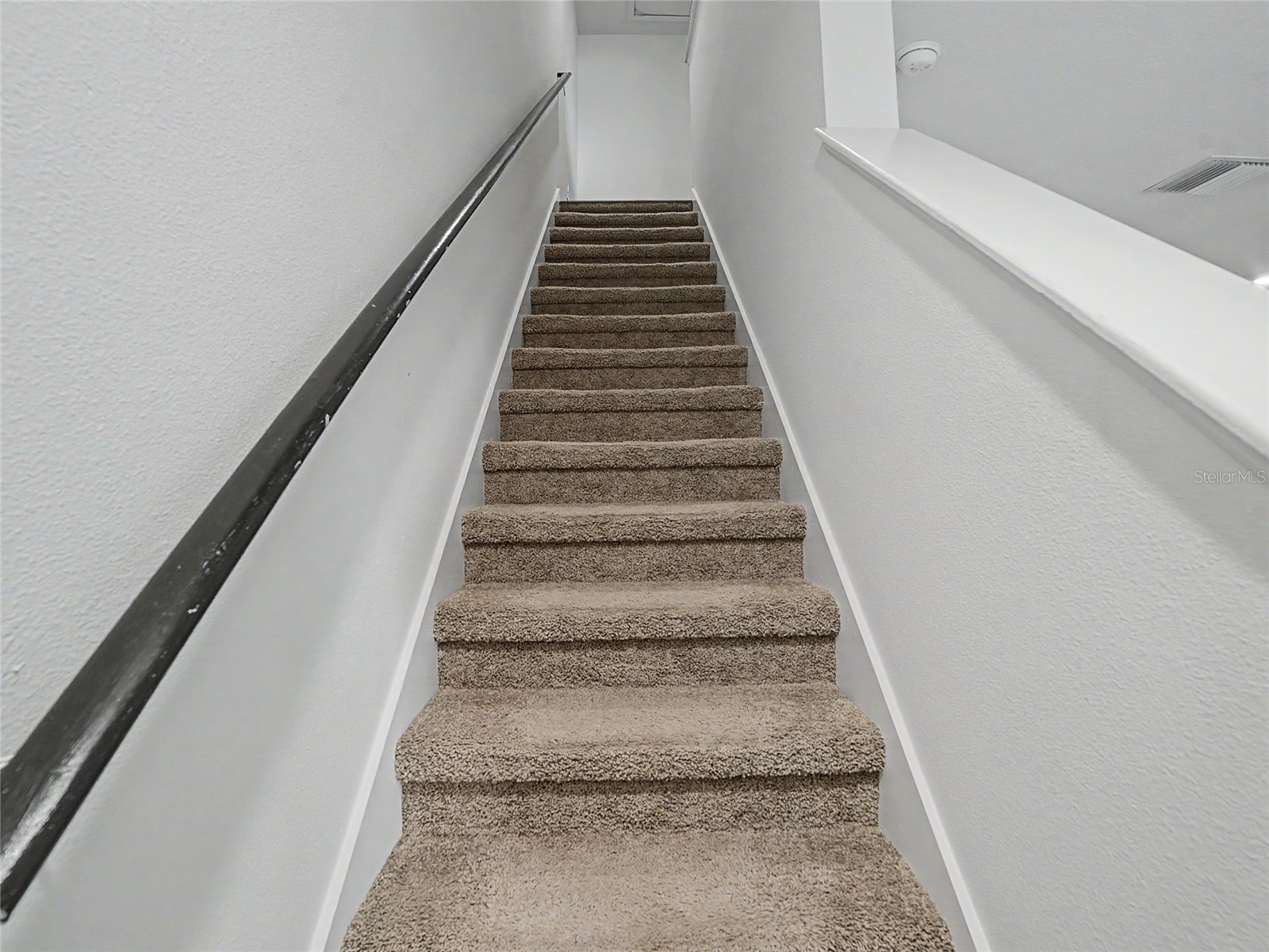 8619 Falling Blue Place Riverview FL 33578 TB8518292 image9