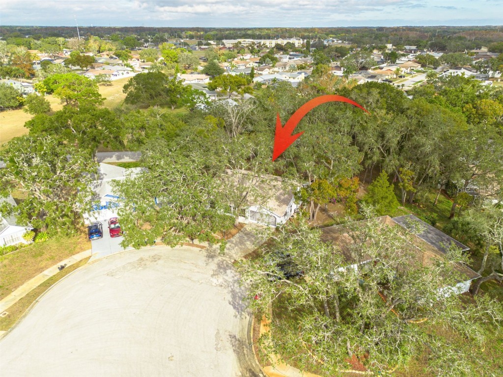 8619 Gold Pine Drive Port Richey FL 34668 W7881379 image2