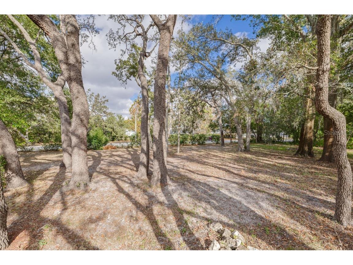 8619 Gold Pine Drive Port Richey FL 34668 W7881379 image33