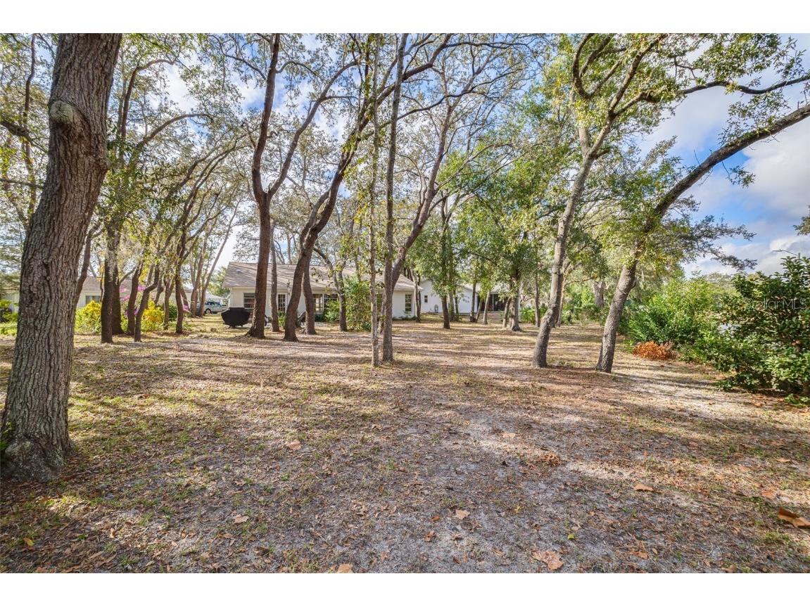 8619 Gold Pine Drive Port Richey FL 34668 W7881379 image34