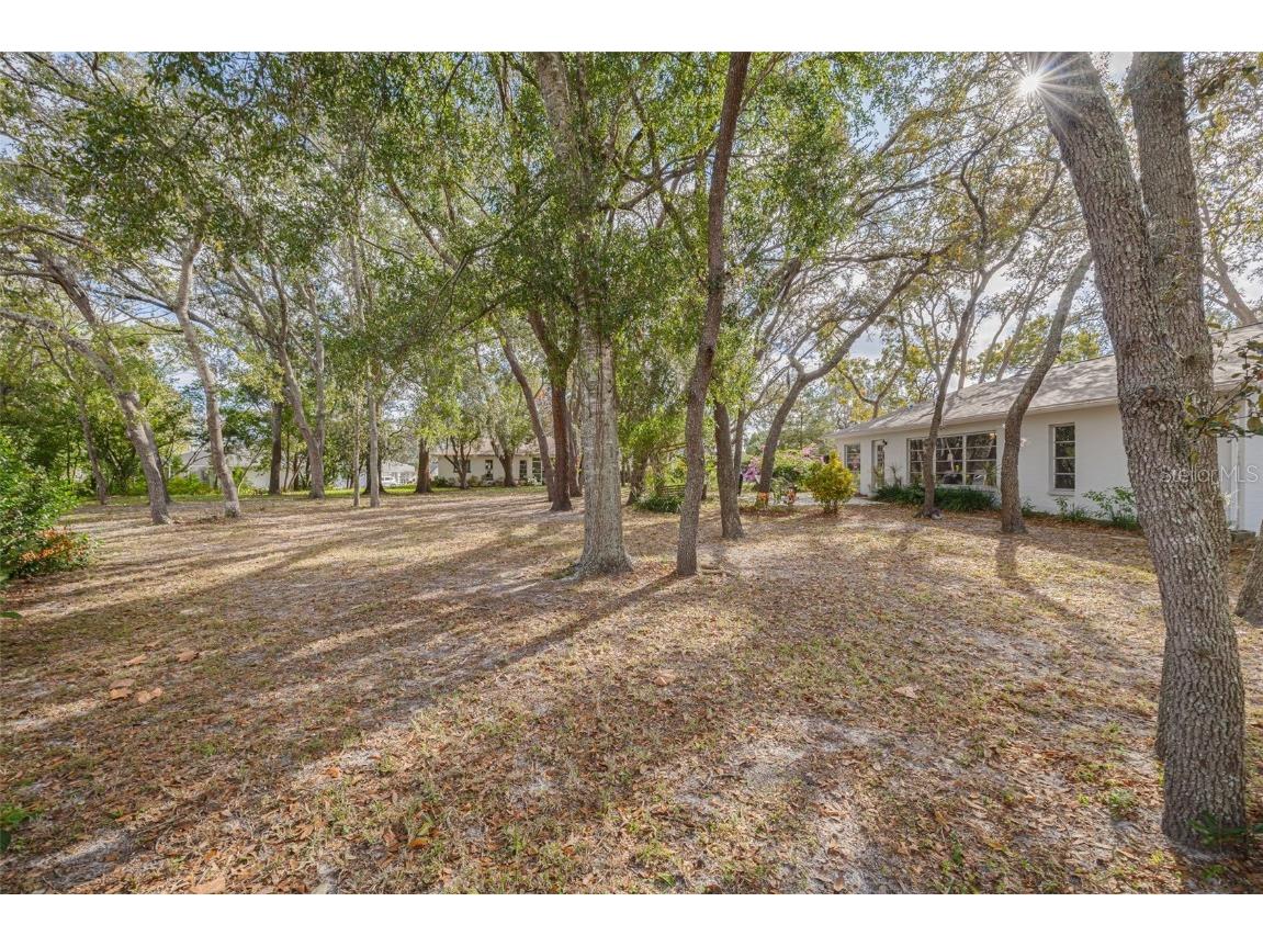 8619 Gold Pine Drive Port Richey FL 34668 W7881379 image35