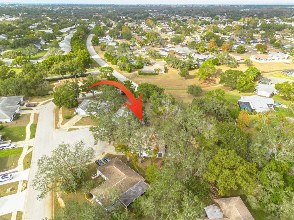 8619 Gold Pine Drive Port Richey FL 34668 W7881379 image36