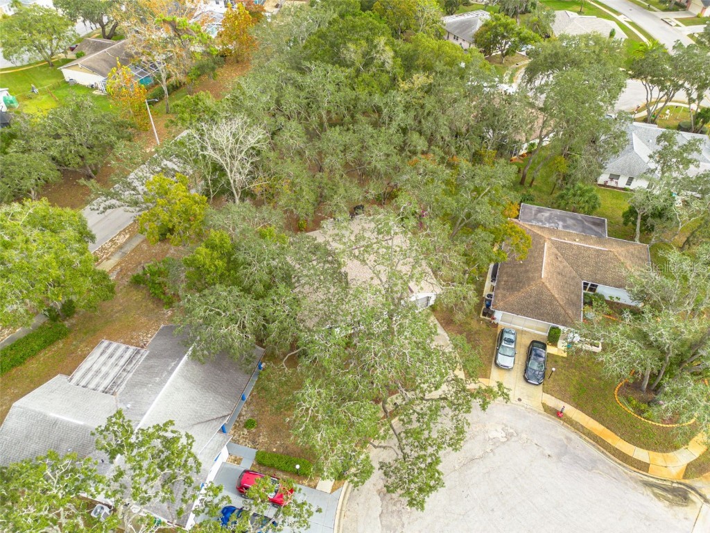 8619 Gold Pine Drive Port Richey FL 34668 W7881379 image37