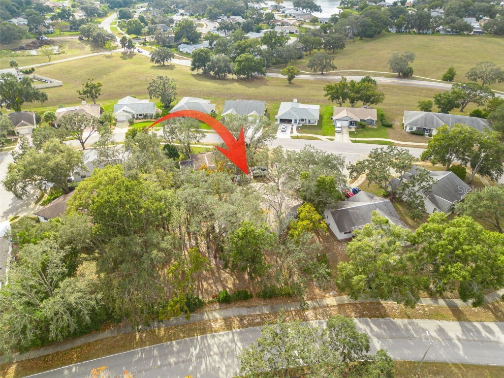 8619 Gold Pine Drive Port Richey FL 34668 W7881379 image38