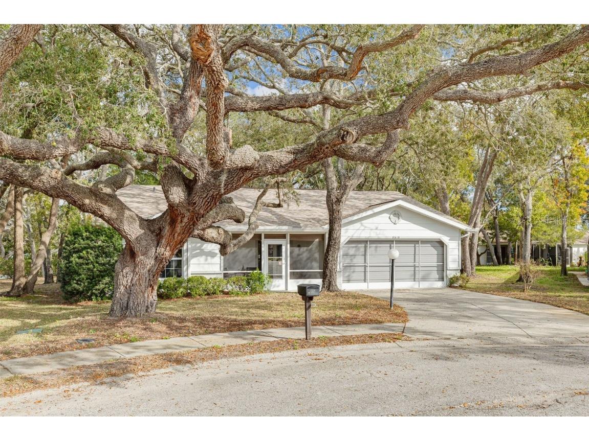 8619 Gold Pine Drive Port Richey FL 34668 W7881379 image4