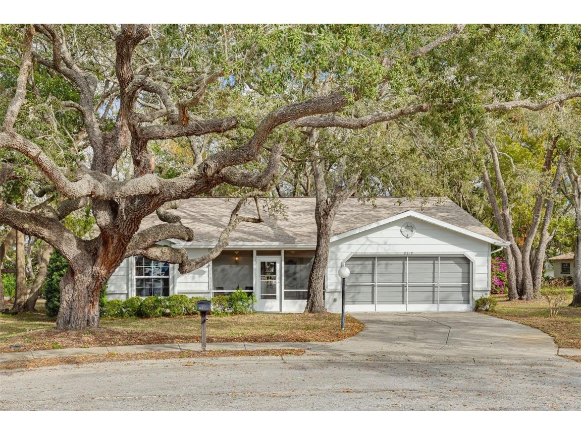 8619 Gold Pine Drive Port Richey FL 34668 W7881379 image5