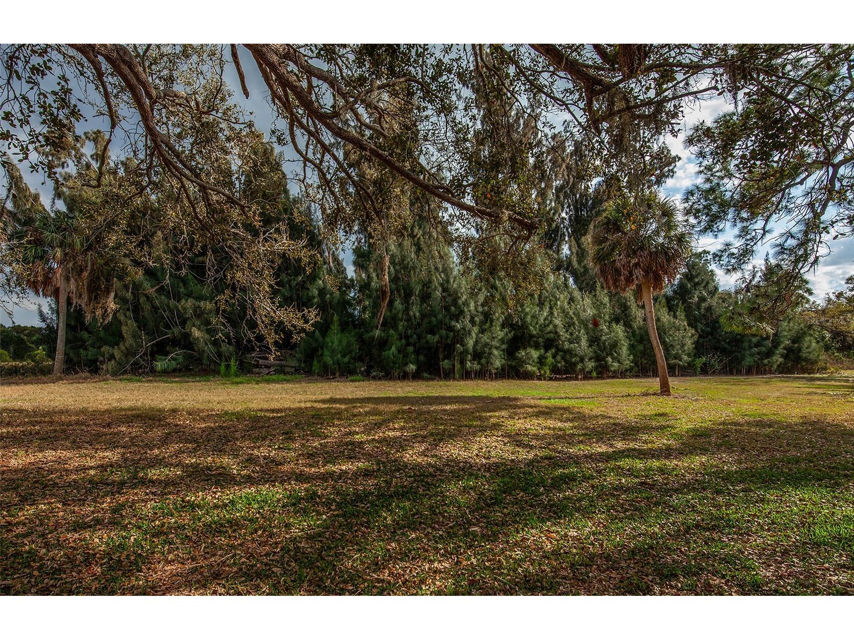 862 Bird Bay Way #194 Venice FL 34285 N6143302 image37