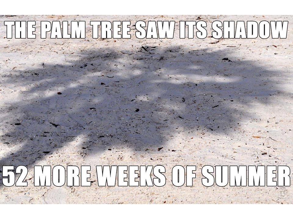 862 Bird Bay Way #194 Venice FL 34285 N6143302 image50