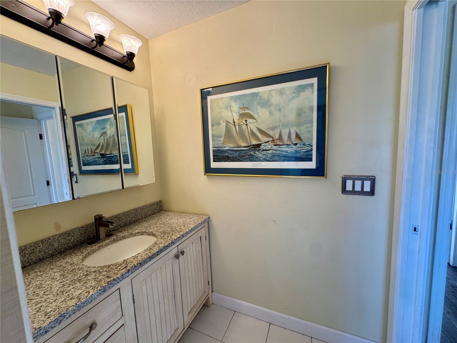 862 Cypress Lakes Boulevard #1 Tarpon Springs FL 34688 TB8481741 image10