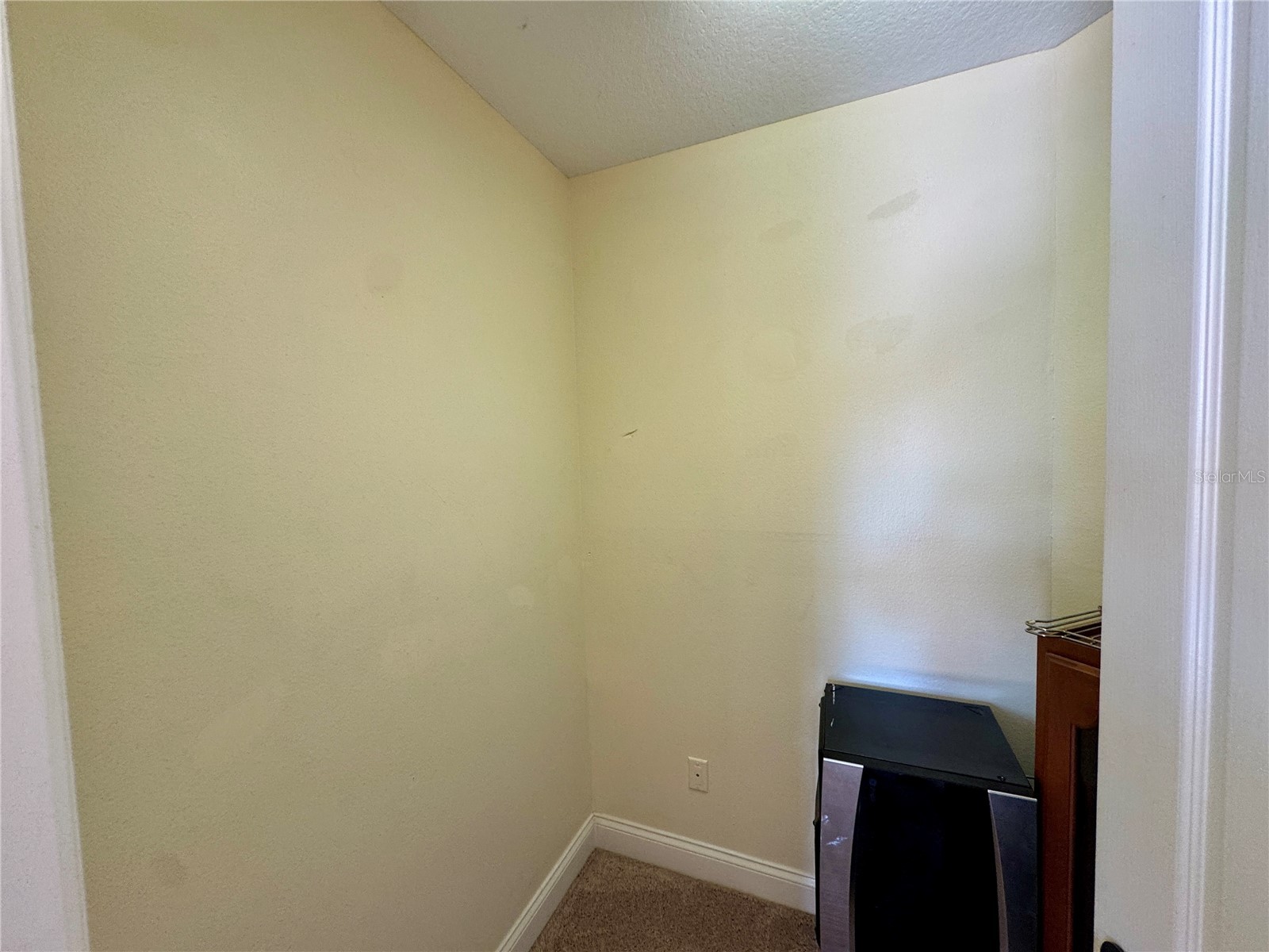 862 Cypress Lakes Boulevard #1 Tarpon Springs FL 34688 TB8481741 image5