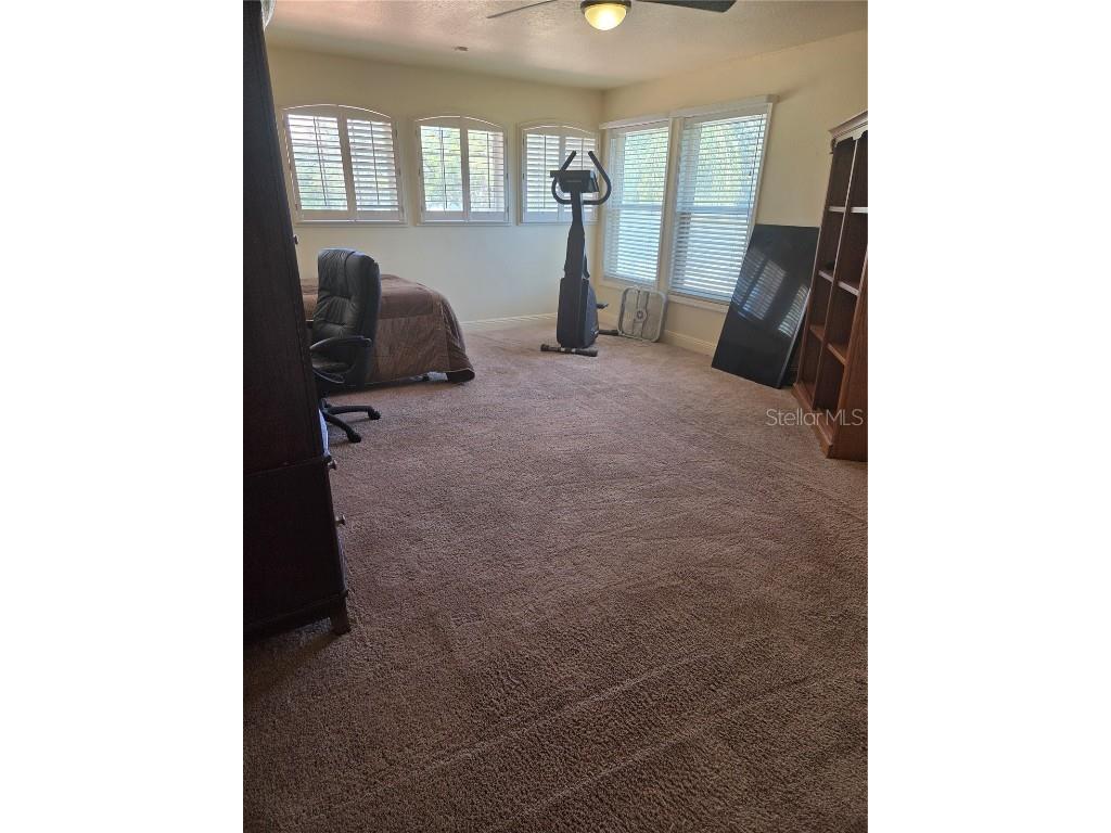 862 Cypress Lakes Boulevard Tarpon Springs FL 34688 TB8453311 image8