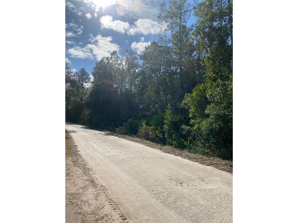 862 Lamar Street E Lehigh Acres FL 33974 O6363242 image2