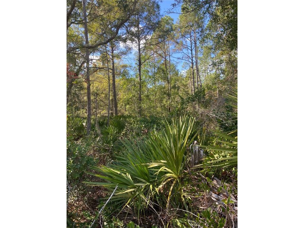 862 Lamar Street E Lehigh Acres FL 33974 O6363242 image3
