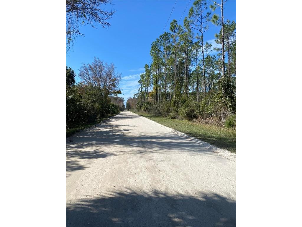 862 Lamar Street E Lehigh Acres FL 33974 O6363242 image4