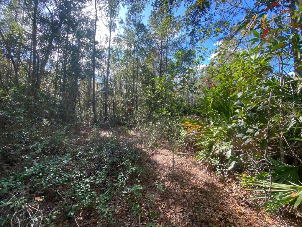 862 Lamar Street E Lehigh Acres FL 33974 O6363242 image5