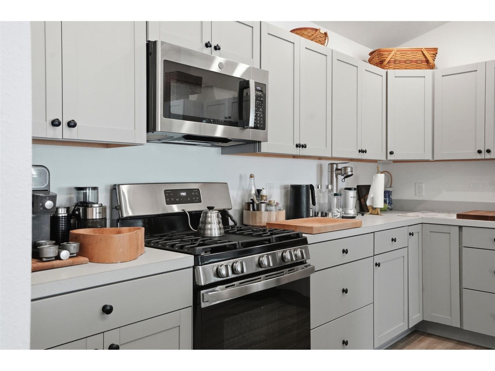 862 Spring Avenue The Villages FL 34762 W7885821 image17