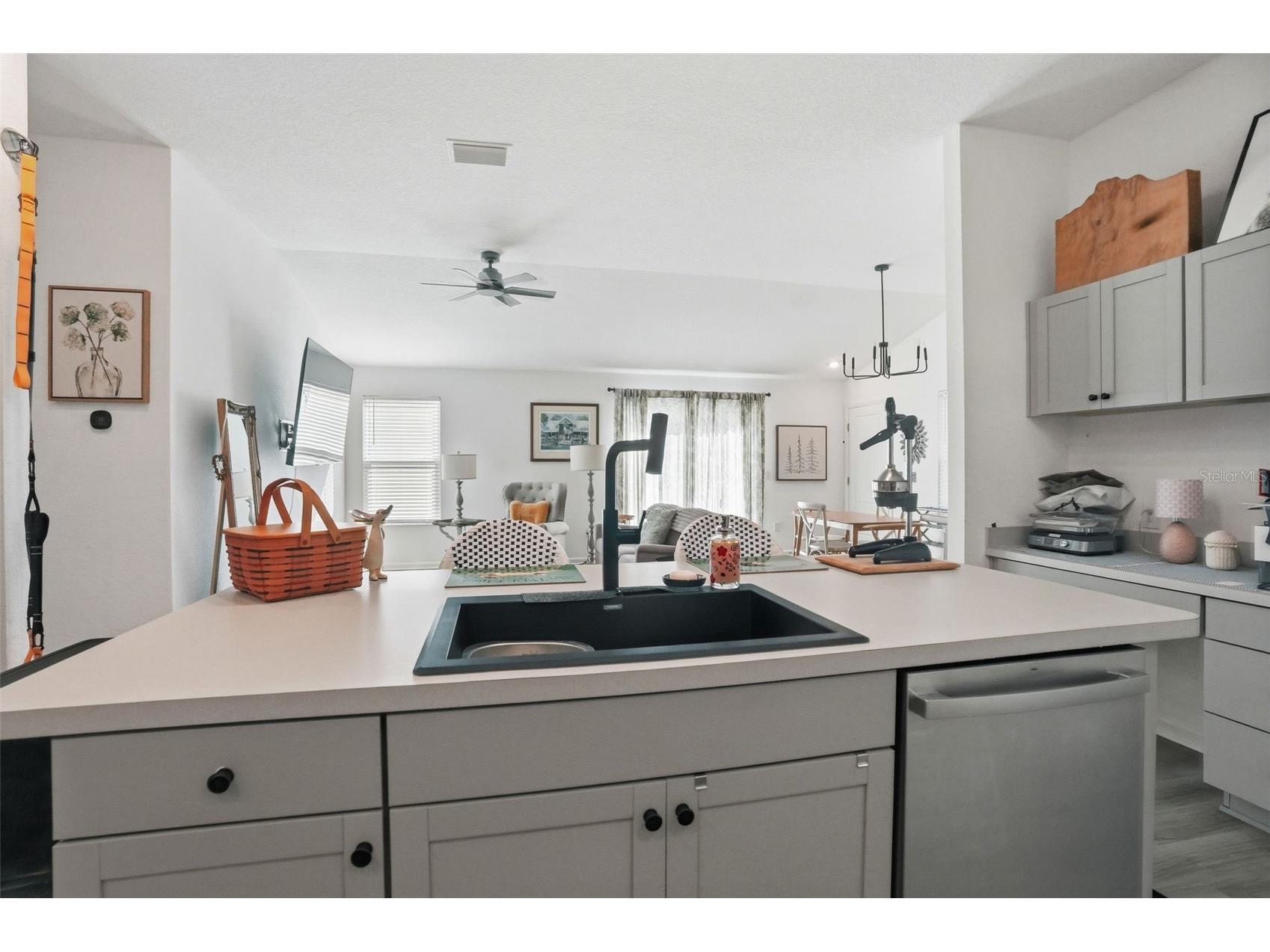 862 Spring Avenue The Villages FL 34762 W7885821 image19