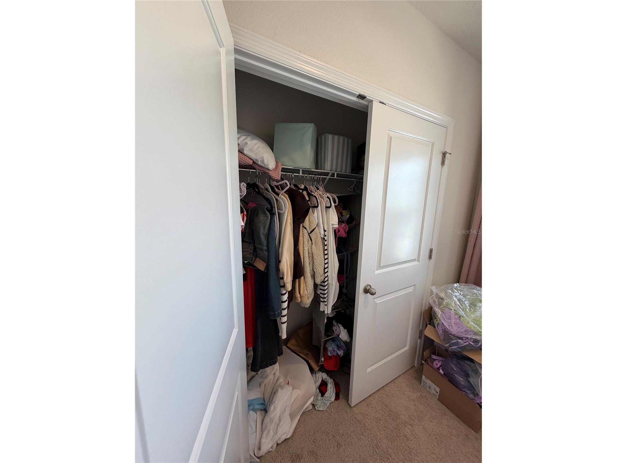 8620 Milestone Drive Sarasota FL 34238 TB8497479 image19